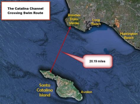 catalina channel swimming.